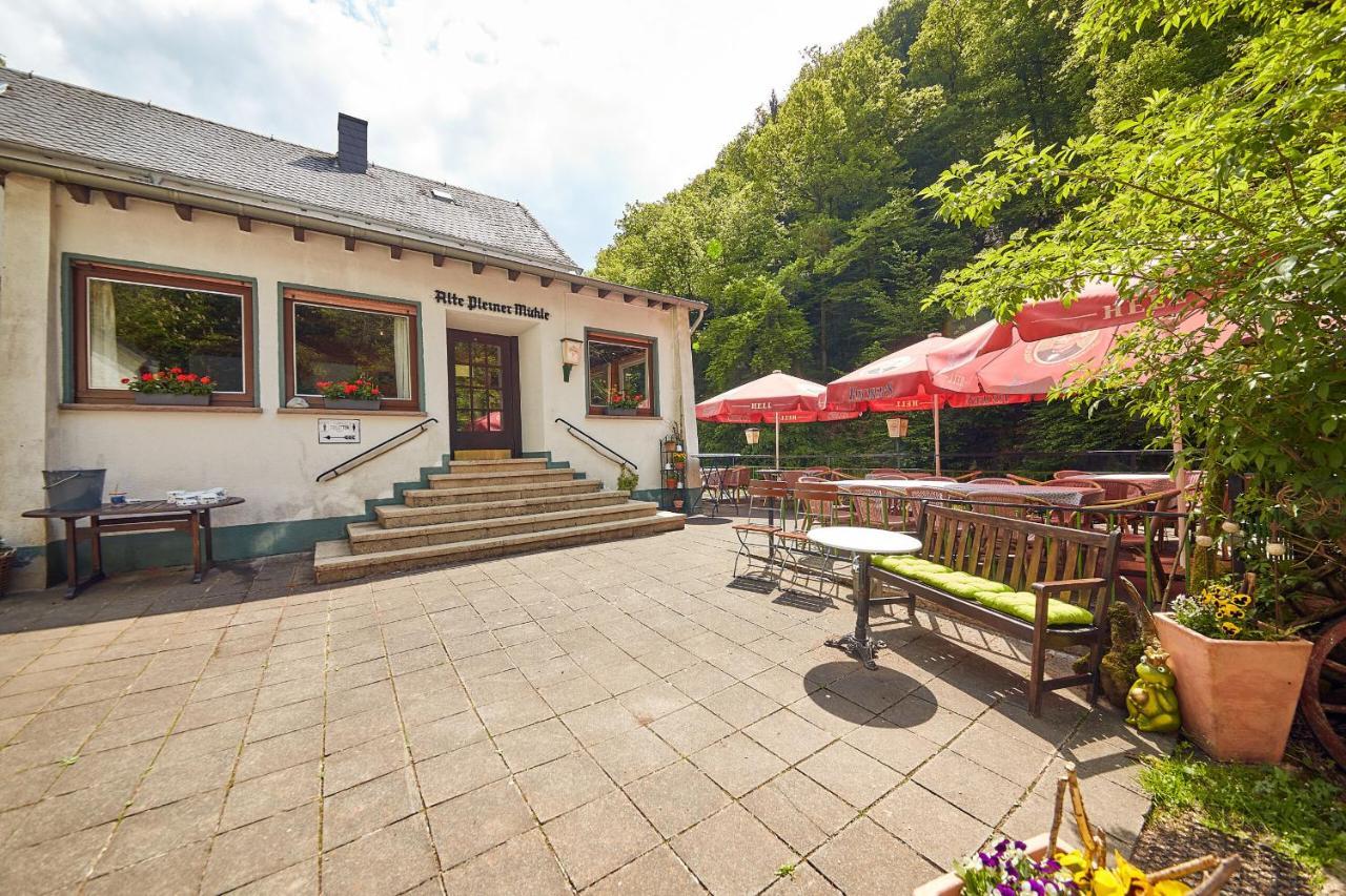 Ferienwohnung "Alte Pleiner Muehle" 外观 照片